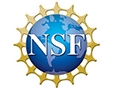 Strategy reports NSF, USA